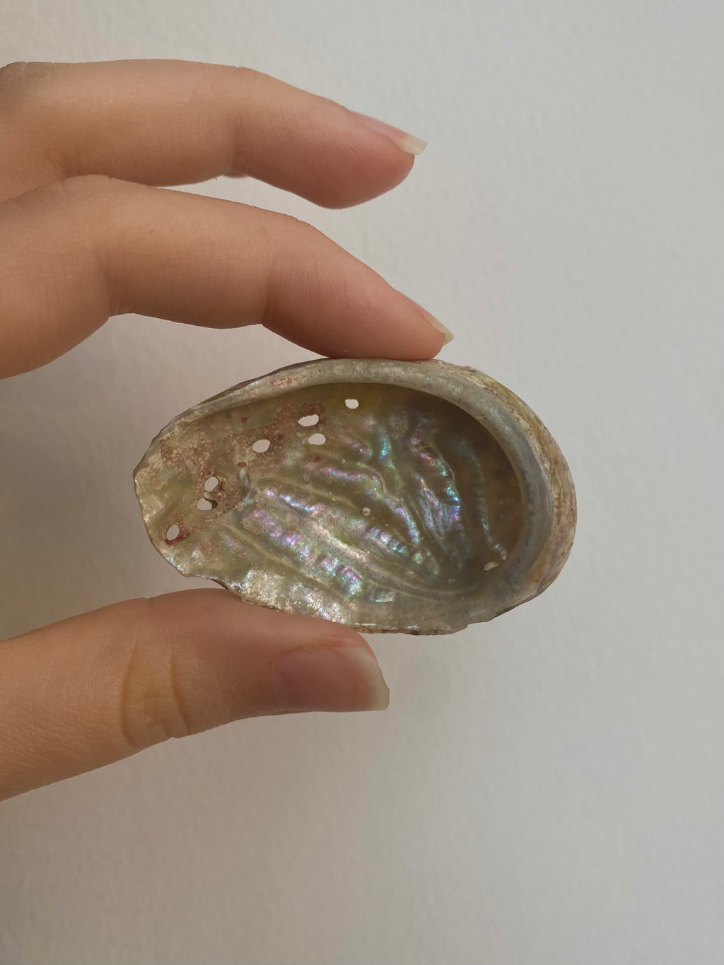 The Abalone Cardigan (English)