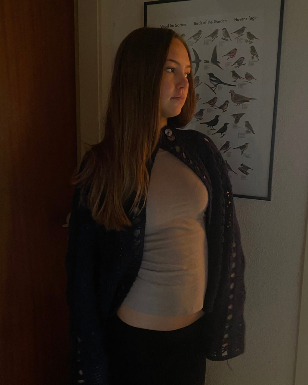 The Abalone Cardigan (English)